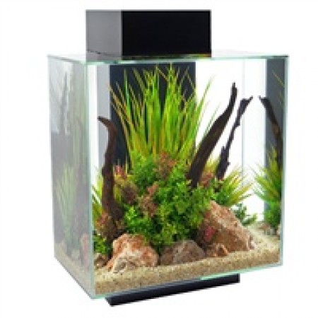 Edge  46ltr