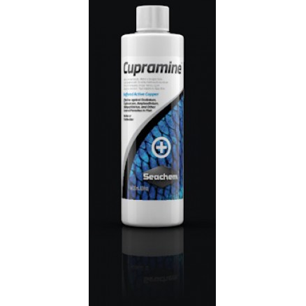 coral reef aquatics maintenance