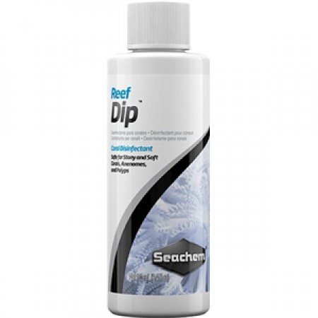 Reef Dip
