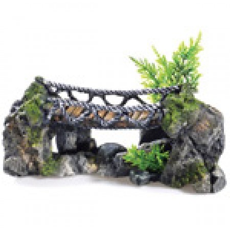 Rocky Rope Bridge