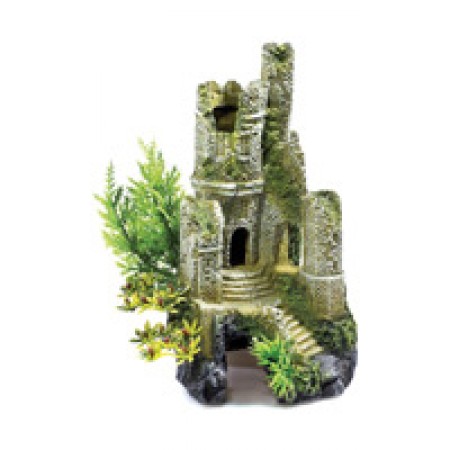 Castle Ruin