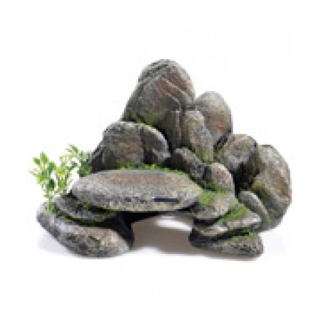 Rocky Ledge