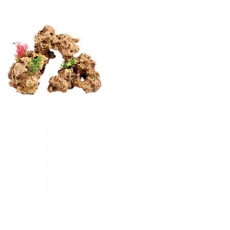 Sandstone Arch with Plants and Air