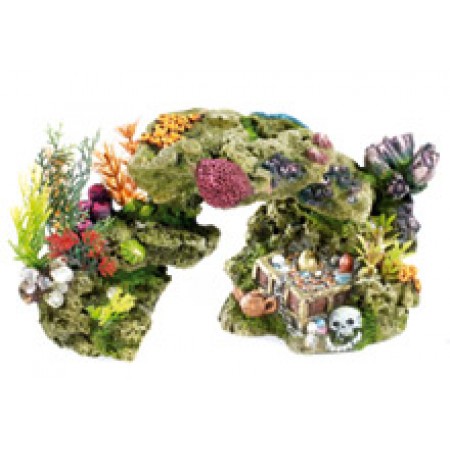 Rock Treasure and Plants