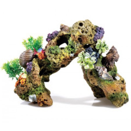 Large Lava Rock with Plants and Air