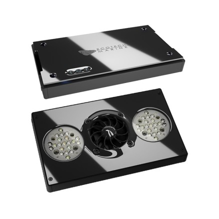 radion led ecotech marine